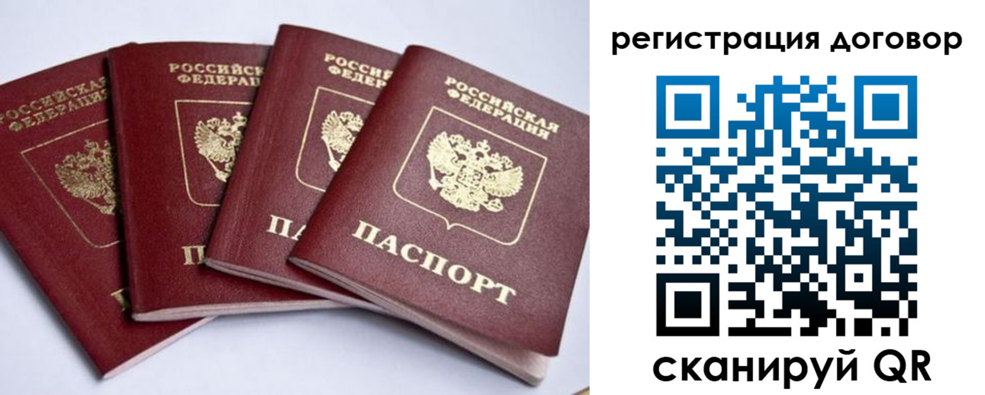прописка поиск в Котово